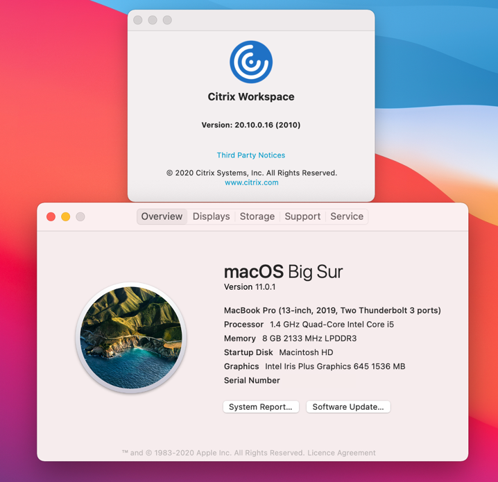 citrix receiver for mac update